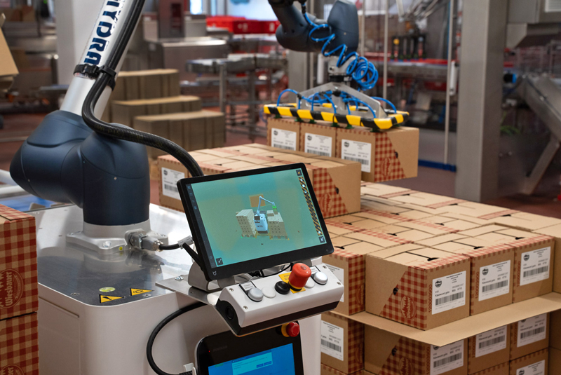 HYDRA Wiesbauer Palettiersoftware mit  3-Karton-Gripper