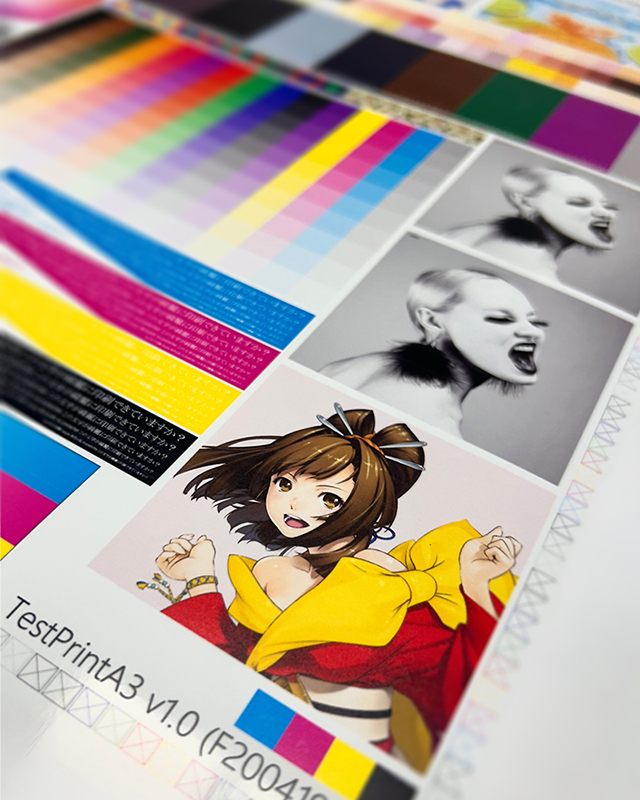 Testprint auf A3 mit ELH100 Mimaki Tinten