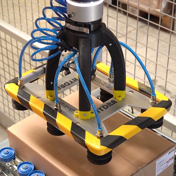 palettierer greifer hebt karton