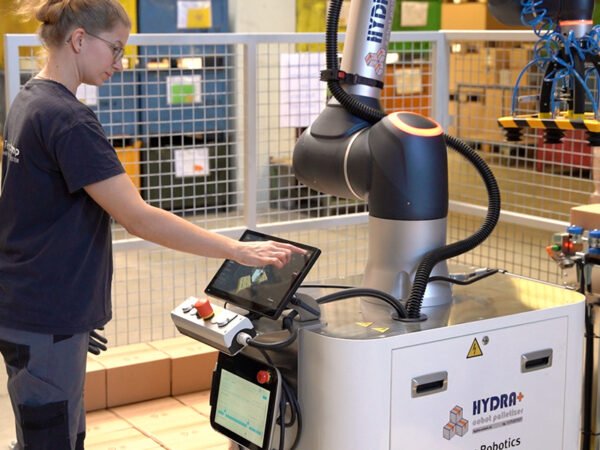Palettierer Eingabe bedienerfreundliche Software